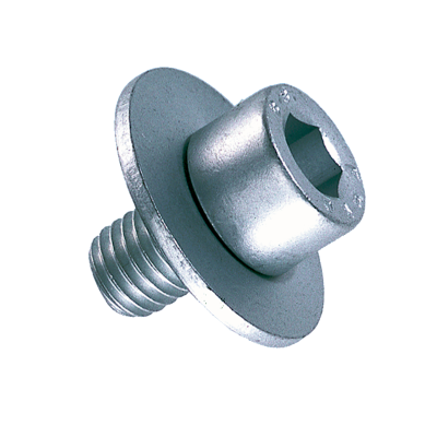 Tornillos de hexágono interior con arandela de fijación M10